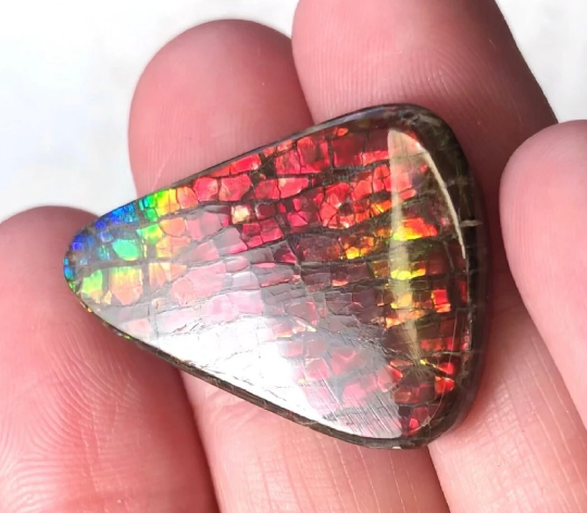 3 stones LOT  Ammolite NATURAL Hand POLISHED Gemstone Loose Gemstone,