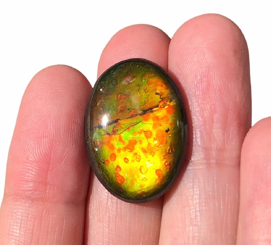 RESERVED for C.  Lot  Ammolite  4 stones Loose Gem, BRIGHT Canadian Ammolite Ammonite.DIY jewelry, Wrapping pendant, Metaphysical FFCL-008