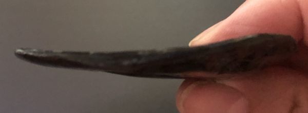 Ammolite RARE Suture Geｍ 54 x 44 mm Collector Stone - CS-130   - アンモライト  コレクターストーン 価格交渉あり　