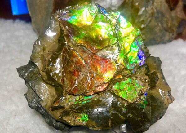 93mm x 70 x 23 mm - RS-12 Rough Stone Ammlite  アンモライト　原石　ラフ