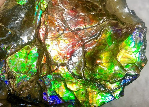 93mm x 70 x 23 mm - RS-12 Rough Stone Ammlite  アンモライト　原石　ラフ