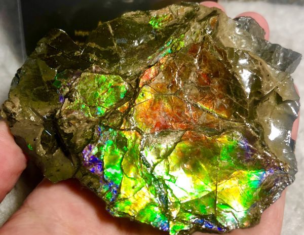 93mm x 70 x 23 mm - RS-12 Rough Stone Ammlite  アンモライト　原石　ラフ